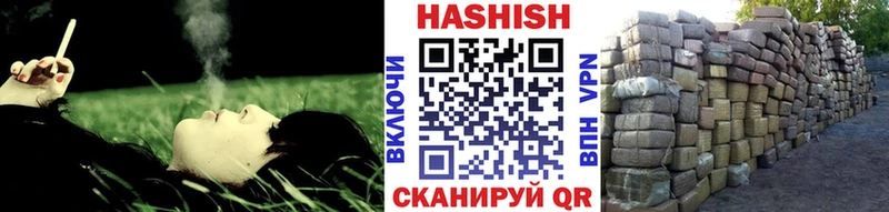 дарнет шоп  Соль-Илецк  ГАШИШ AMNESIA HAZE 