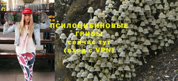 трава Балахна