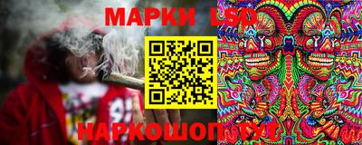 спиды Новодвинск