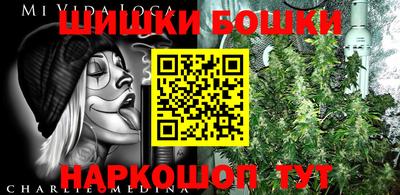 дживик Новозыбков