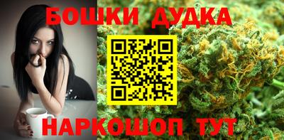 спиды Новодвинск