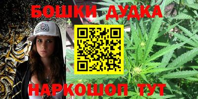 спиды Новодвинск