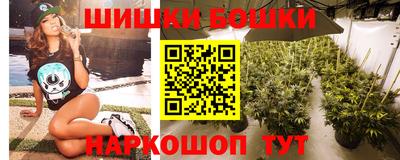 спиды Новодвинск