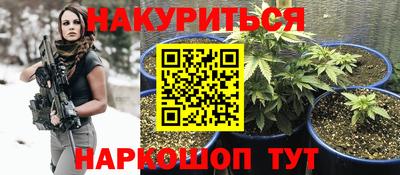 дживик Новозыбков