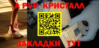 спиды Новодвинск