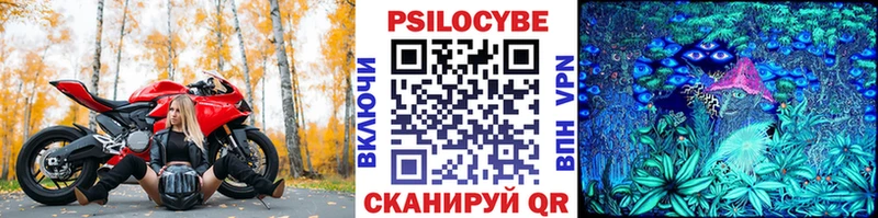 Псилоцибиновые грибы мухоморы  Соль-Илецк 