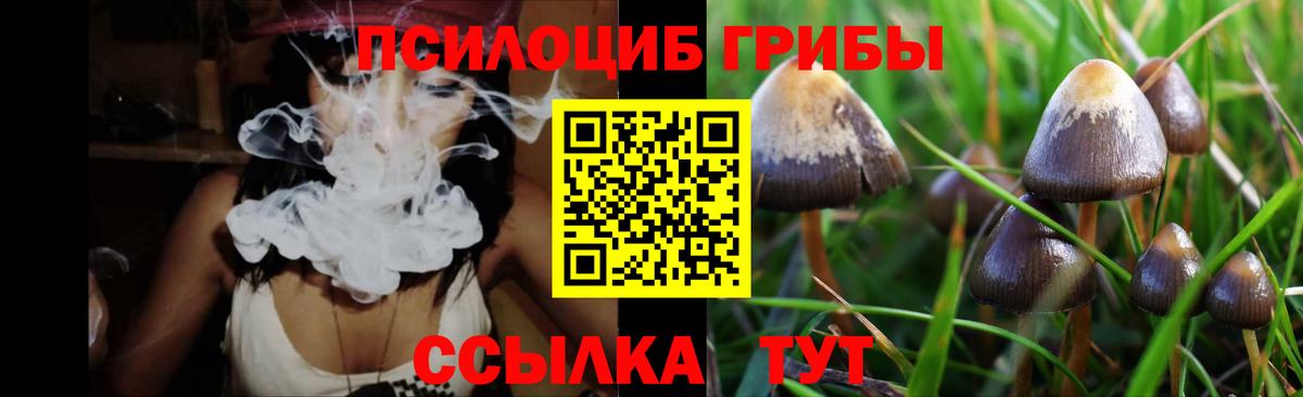 Псилоцибиновые грибы GOLDEN TEACHER  Вход с VPN  Соль-Илецк  Псилоцибиновые грибы ЛСД 